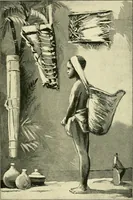Picture 17 of 30 from Apes and monkeys; their life and language (1900), leaf 142