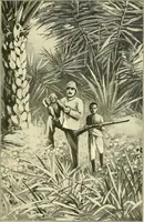 Picture 18 of 30 from Apes and monkeys; their life and language (1900), leaf 150