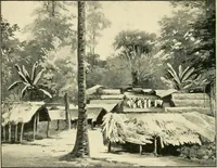 An illustration from Apes and monkeys; their life and language (1900)