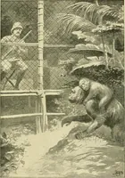 Picture 28 of 30 from Apes and monkeys; their life and language (1900), leaf 280