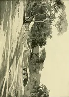 An illustration from Apes and monkeys; their life and language (1900)