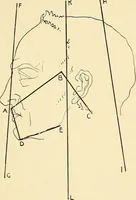 An illustration from Apes and monkeys; their life and language (1900)