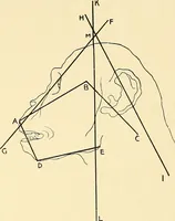 An illustration from Apes and monkeys; their life and language (1900)