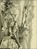 An illustration from Apes and monkeys; their life and language (1900)