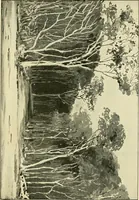 An illustration from Apes and monkeys; their life and language (1900)
