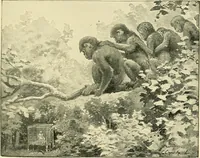 An illustration from Apes and monkeys; their life and language (1900)