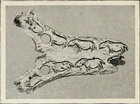 Picture 7 of 576 from Apollo : histoire générale des arts plastiques professée en 1902-1903 à l'École du Louvre (1907), leaf 18