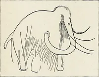 An illustration from Apollo : histoire générale des arts plastiques professée en 1902-1903 à l'École du Louvre (1907)