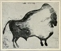 An illustration from Apollo : histoire générale des arts plastiques professée en 1902-1903 à l'École du Louvre (1907)