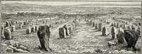 An illustration from Apollo : histoire générale des arts plastiques professée en 1902-1903 à l'École du Louvre (1907)
