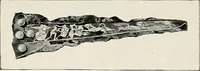 Picture 40 of 576 from Apollo : histoire générale des arts plastiques professée en 1902-1903 à l'École du Louvre (1907), leaf 46