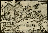An illustration from Horou Apollonos Neiloou Hieroglyphika eklekta = Hori Apollinis Selecta hieroglyphica : imagines vero cum priuilegio (1599)