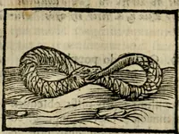 An illustration from Horou Apollonos Neiloou Hieroglyphika eklekta = Hori Apollinis Selecta hieroglyphica : imagines vero cum priuilegio (1599)