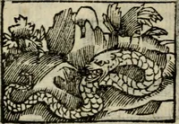 An illustration from Horou Apollonos Neiloou Hieroglyphika eklekta = Hori Apollinis Selecta hieroglyphica : imagines vero cum priuilegio (1599)