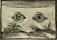 Picture 62 of 177 from Horou Apollonos Neiloou Hieroglyphika eklekta = Hori Apollinis Selecta hieroglyphica : imagines vero cum priuilegio (1599), leaf 122