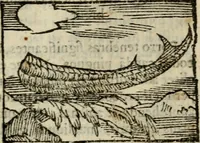 An illustration from Horou Apollonos Neiloou Hieroglyphika eklekta = Hori Apollinis Selecta hieroglyphica : imagines vero cum priuilegio (1599)
