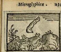 Picture 76 of 177 from Horou Apollonos Neiloou Hieroglyphika eklekta = Hori Apollinis Selecta hieroglyphica : imagines vero cum priuilegio (1599), leaf 138