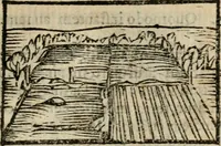 Picture 6 of 177 from Horou Apollonos Neiloou Hieroglyphika eklekta = Hori Apollinis Selecta hieroglyphica : imagines vero cum priuilegio (1599), leaf 14