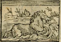An illustration from Horou Apollonos Neiloou Hieroglyphika eklekta = Hori Apollinis Selecta hieroglyphica : imagines vero cum priuilegio (1599)