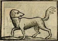 An illustration from Horou Apollonos Neiloou Hieroglyphika eklekta = Hori Apollinis Selecta hieroglyphica : imagines vero cum priuilegio (1599)
