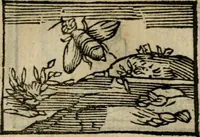 An illustration from Horou Apollonos Neiloou Hieroglyphika eklekta = Hori Apollinis Selecta hieroglyphica : imagines vero cum priuilegio (1599)