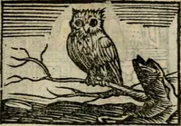 An illustration from Horou Apollonos Neiloou Hieroglyphika eklekta = Hori Apollinis Selecta hieroglyphica : imagines vero cum priuilegio (1599)