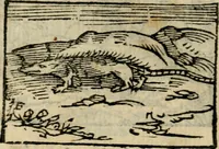An illustration from Horou Apollonos Neiloou Hieroglyphika eklekta = Hori Apollinis Selecta hieroglyphica : imagines vero cum priuilegio (1599)