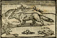 An illustration from Horou Apollonos Neiloou Hieroglyphika eklekta = Hori Apollinis Selecta hieroglyphica : imagines vero cum priuilegio (1599)