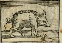 An illustration from Horou Apollonos Neiloou Hieroglyphika eklekta = Hori Apollinis Selecta hieroglyphica : imagines vero cum priuilegio (1599)