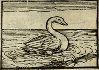 An illustration from Horou Apollonos Neiloou Hieroglyphika eklekta = Hori Apollinis Selecta hieroglyphica : imagines vero cum priuilegio (1599)