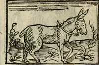An illustration from Horou Apollonos Neiloou Hieroglyphika eklekta = Hori Apollinis Selecta hieroglyphica : imagines vero cum priuilegio (1599)