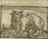 An illustration from Horou Apollonos Neiloou Hieroglyphika eklekta = Hori Apollinis Selecta hieroglyphica : imagines vero cum priuilegio (1599)