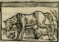 An illustration from Horou Apollonos Neiloou Hieroglyphika eklekta = Hori Apollinis Selecta hieroglyphica : imagines vero cum priuilegio (1599)