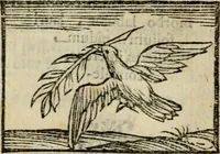 An illustration from Horou Apollonos Neiloou Hieroglyphika eklekta = Hori Apollinis Selecta hieroglyphica : imagines vero cum priuilegio (1599)