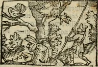 An illustration from Horou Apollonos Neiloou Hieroglyphika eklekta = Hori Apollinis Selecta hieroglyphica : imagines vero cum priuilegio (1599)