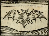 An illustration from Horou Apollonos Neiloou Hieroglyphika eklekta = Hori Apollinis Selecta hieroglyphica : imagines vero cum priuilegio (1599)
