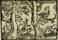 Picture 113 of 177 from Horou Apollonos Neiloou Hieroglyphika eklekta = Hori Apollinis Selecta hieroglyphica : imagines vero cum priuilegio (1599), leaf 179
