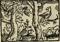 An illustration from Horou Apollonos Neiloou Hieroglyphika eklekta = Hori Apollinis Selecta hieroglyphica : imagines vero cum priuilegio (1599)