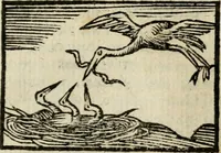 An illustration from Horou Apollonos Neiloou Hieroglyphika eklekta = Hori Apollinis Selecta hieroglyphica : imagines vero cum priuilegio (1599)