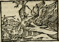 An illustration from Horou Apollonos Neiloou Hieroglyphika eklekta = Hori Apollinis Selecta hieroglyphica : imagines vero cum priuilegio (1599)