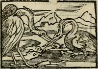 An illustration from Horou Apollonos Neiloou Hieroglyphika eklekta = Hori Apollinis Selecta hieroglyphica : imagines vero cum priuilegio (1599)