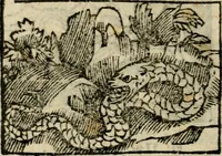 An illustration from Horou Apollonos Neiloou Hieroglyphika eklekta = Hori Apollinis Selecta hieroglyphica : imagines vero cum priuilegio (1599)