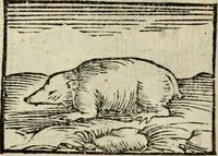 An illustration from Horou Apollonos Neiloou Hieroglyphika eklekta = Hori Apollinis Selecta hieroglyphica : imagines vero cum priuilegio (1599)
