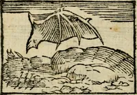 Picture 123 of 177 from Horou Apollonos Neiloou Hieroglyphika eklekta = Hori Apollinis Selecta hieroglyphica : imagines vero cum priuilegio (1599), leaf 191