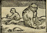 An illustration from Horou Apollonos Neiloou Hieroglyphika eklekta = Hori Apollinis Selecta hieroglyphica : imagines vero cum priuilegio (1599)