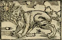 An illustration from Horou Apollonos Neiloou Hieroglyphika eklekta = Hori Apollinis Selecta hieroglyphica : imagines vero cum priuilegio (1599)