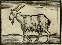 An illustration from Horou Apollonos Neiloou Hieroglyphika eklekta = Hori Apollinis Selecta hieroglyphica : imagines vero cum priuilegio (1599)