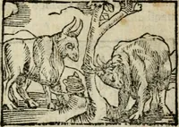 An illustration from Horou Apollonos Neiloou Hieroglyphika eklekta = Hori Apollinis Selecta hieroglyphica : imagines vero cum priuilegio (1599)