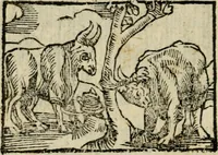 An illustration from Horou Apollonos Neiloou Hieroglyphika eklekta = Hori Apollinis Selecta hieroglyphica : imagines vero cum priuilegio (1599)