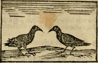 An illustration from Horou Apollonos Neiloou Hieroglyphika eklekta = Hori Apollinis Selecta hieroglyphica : imagines vero cum priuilegio (1599)